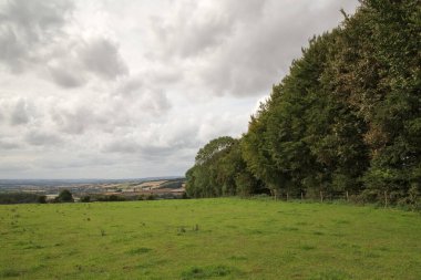 Oxfordshire kırsalındaki tarım arazisinin manzarası.