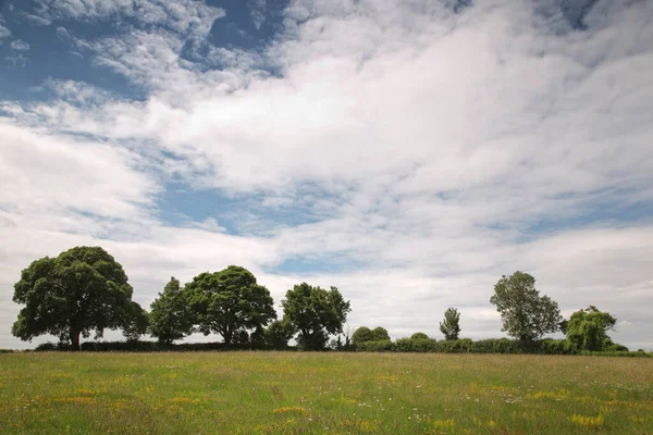 Landscape Image Trees How Impact Landscape — Stock Photo, Image