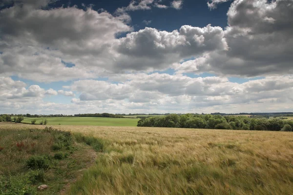 Krajina Obraz Zemědělské Půdy Oxfordshire Krajiny Anglie — Stock fotografie