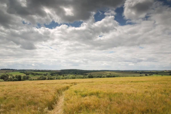 Imagem Paisagem Uma Trilha Pública Terras Agrícolas Zona Rural Oxfordshire — Fotografia de Stock