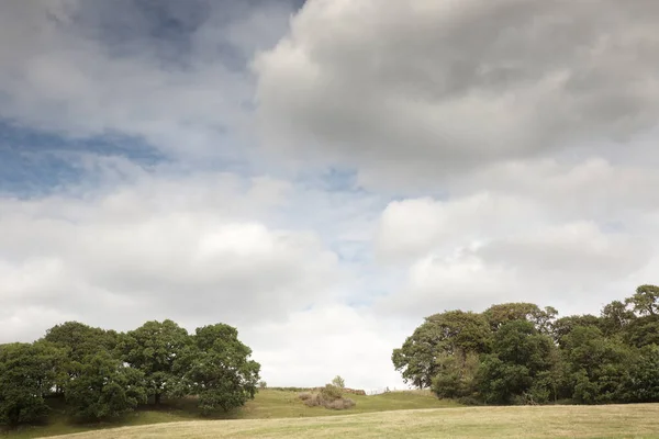 Landschaftsbild Von Landwirtschaftlichem Land Der Grafschaft Oxfordshire — Stockfoto