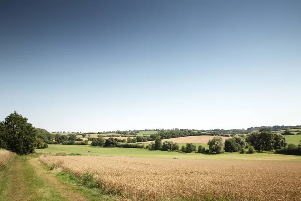 Oxfordshire Kırsalındaki Tarım Arazisinin Manzarası — Stok fotoğraf