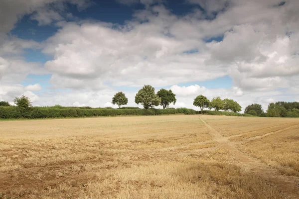 Imagem Paisagem Terras Agrícolas Zona Rural Oxfordshire Inglaterra — Fotografia de Stock