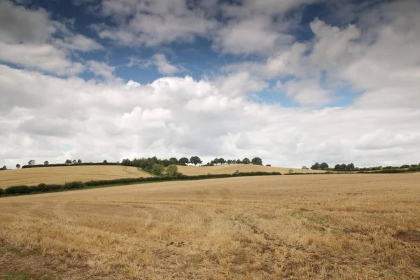 Krajobraz Gruntów Rolnych Oksfordshire Wsi Anglii — Zdjęcie stockowe