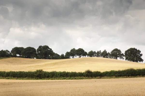 Tájkép Mezőgazdasági Földterület Oxfordshire Vidéki Angliában — Stock Fotó