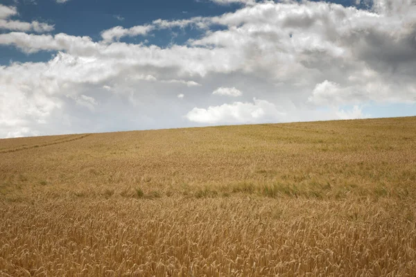 Imagem Paisagem Terras Agrícolas Zona Rural Oxfordshire Inglaterra — Fotografia de Stock