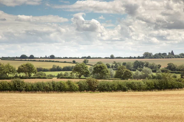 Imagem Paisagem Terras Agrícolas Zona Rural Oxfordshire Inglaterra — Fotografia de Stock