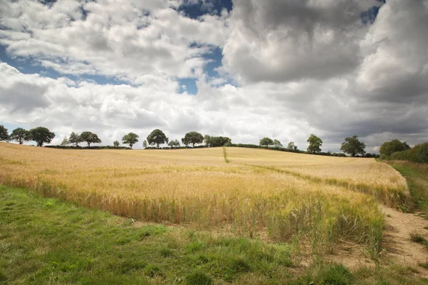 Immagine Paesaggistica Terreni Agricoli Nella Campagna Dell Oxfordshire Inghilterra — Foto Stock