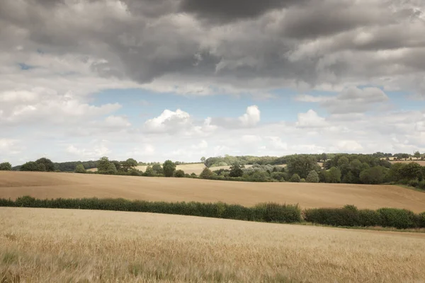 Immagine Paesaggistica Terreni Agricoli Nella Campagna Dell Oxfordshire Inghilterra — Foto Stock