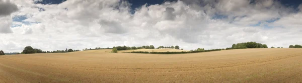 Panoramiczny Krajobraz Gruntów Rolnych Oksfordshire Wsi Anglii — Zdjęcie stockowe