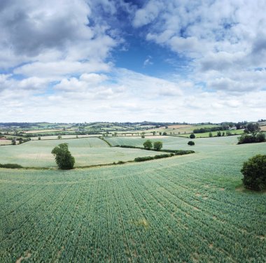 İngiltere 'nin Oxfordshire kırsalındaki panoramik tarım arazisi manzarası