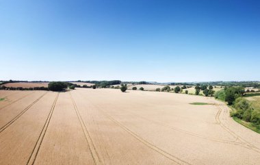 İngiltere 'nin Oxfordshire kırsalındaki panoramik tarım arazisi manzarası