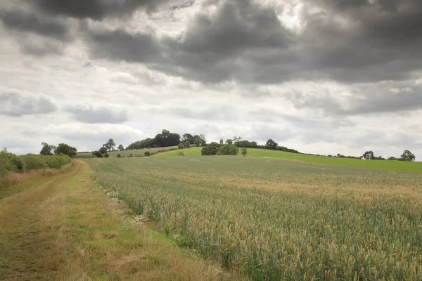 Immagine Paesaggistica Del Mulino Vento Tysoe Sulla Cima Una Collina — Foto Stock