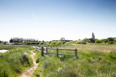 Battlesbridge köyünün kırsal kesimindeki çitlerin manzarası.