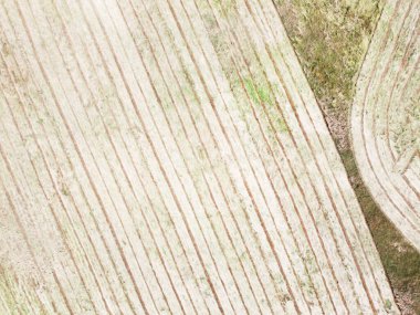 Yerin hemen üstünde traktörün yaptığı alandaki çizgilere bakıyor.