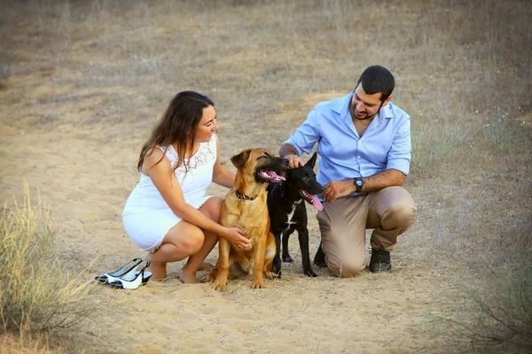 Young Couple Two Dogs — Stock Photo, Image