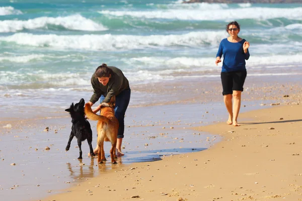 Madre Figlia Giocare Con Cani Spiaggia — Foto Stock