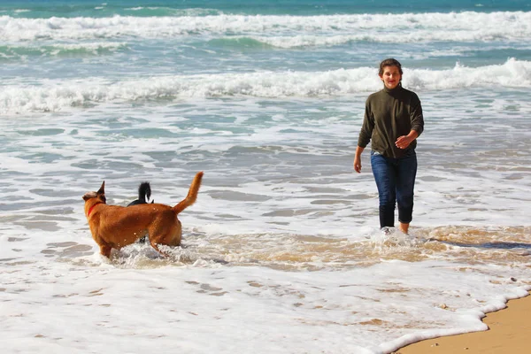 Gadis Remaja Dengan Anjingnya Pantai — Stok Foto