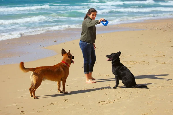 Tonårig Flicka Med Hennes Hundar Stranden — Stockfoto