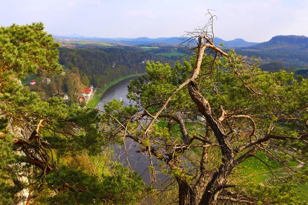 Nehir Elbe Sakson Sviçre Üzerinden Bastei Dresden Almanya Yakınındaki Dağlarda — Stok fotoğraf
