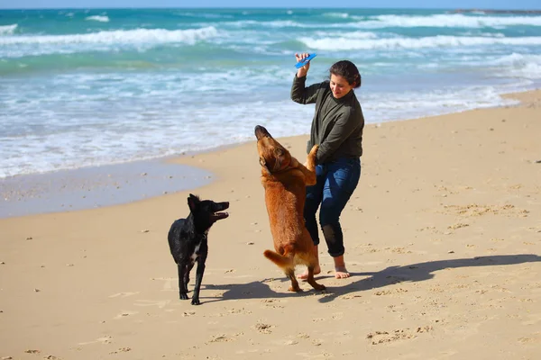 Adolescente Jugando Con Sus Perros Playa — Foto de Stock