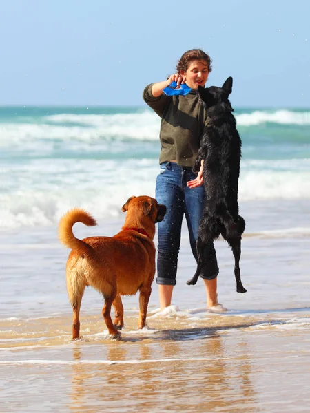 Adolescente brincando com seus cães na praia — Fotografia de Stock