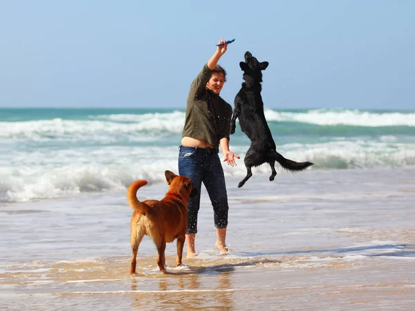 Adolescente brincando com seus cães na praia — Fotografia de Stock