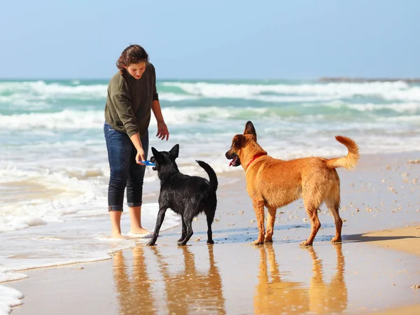 Adolescente brincando com seus cães na praia . — Fotografia de Stock