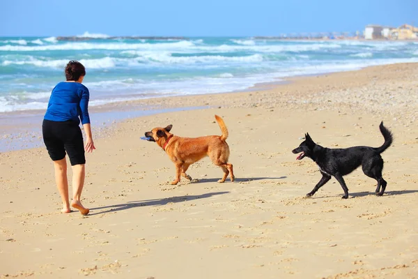Madura mujer jugando con sus perros en la playa — Foto de Stock