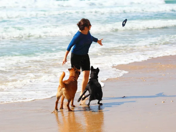 Donna Matura Che Gioca Con Suoi Cani Sulla Spiaggia — Foto Stock