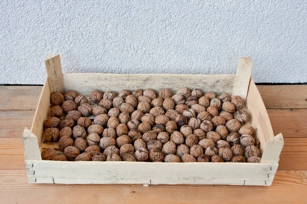 lots of walnuts are in the plywood box