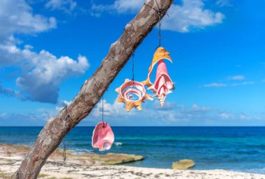 farklı talismans Karayip kenarı, Isla Mujeres, Meksika ile kuru ağaç.