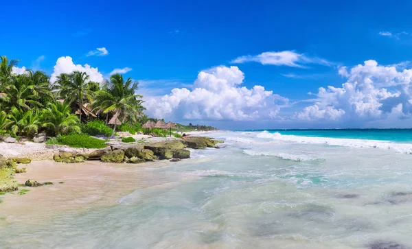 Pięknych Palm Tropikalnej Plaży Morzu Karaibskim — Zdjęcie stockowe