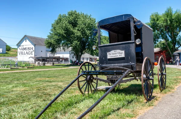 Amish Buggy Nella Contea Lancaster Stati Uniti America — Foto Stock
