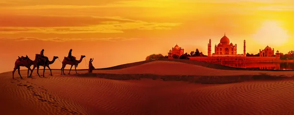 印度日落沙漠中的泰姬陵和骆驼商队全景 — 图库照片