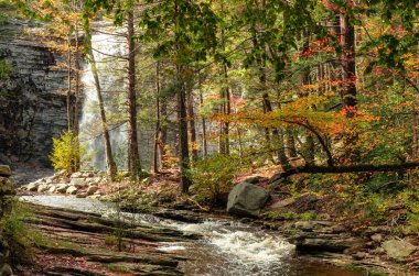 Sonbahar Orman Doğa, Minnewaska State Park rezerv, taşrada Ny, ABD