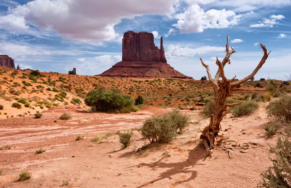 Monument Valley Navajo Kabile Park Abd — Stok fotoğraf