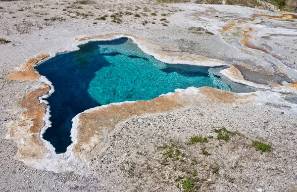 Primavera Estrella Azul Parque Nacional Yellowstone — Foto de Stock