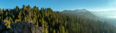 Dağlar, Sequoia National Park, panoramik sabah. Kaliforniya, ABD