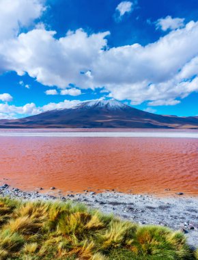 Laguna Colorada, Uyuni, Bolivya doğal görünümünü