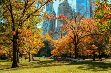 New York, ABD - 4 Kasım 2018: sonbahar manzara Central Park, New York City, Amerika Birleşik Devletleri