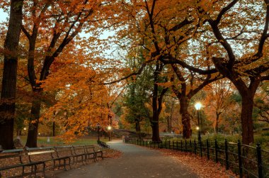 New York, ABD - 4 Kasım 2018: sonbahar manzara Central Park, New York City, Amerika Birleşik Devletleri