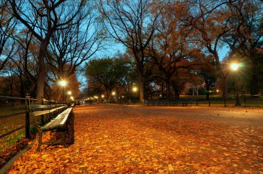 New York, ABD - 4 Kasım 2018: sonbahar manzara Central Park, New York City, Amerika Birleşik Devletleri