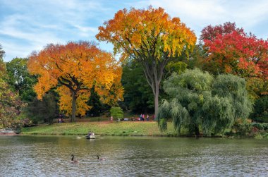 New York, ABD - 1 Kasım 2018: sonbahar manzarası, göl Central Park'ta gemilerde görünümünü