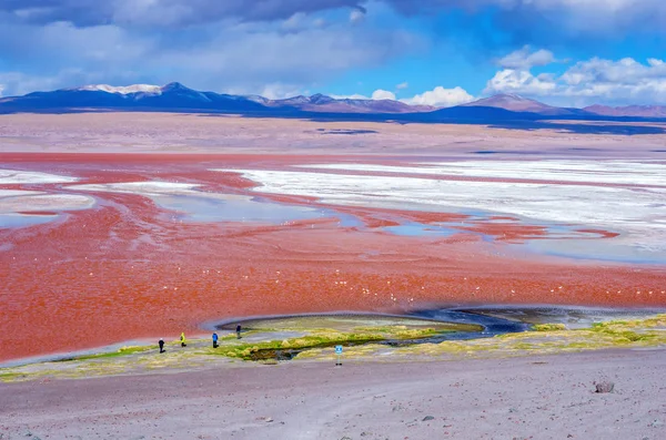 Vista Panorâmica Laguna Colorada Uyuni Bolívia — Fotografia de Stock