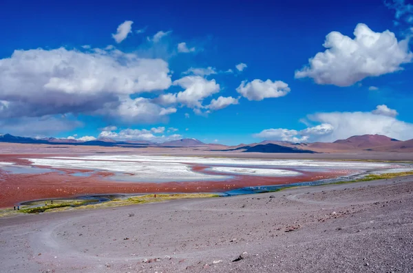 Scenic View Laguna Colorada Uyuni Bolivia — Stock Photo, Image