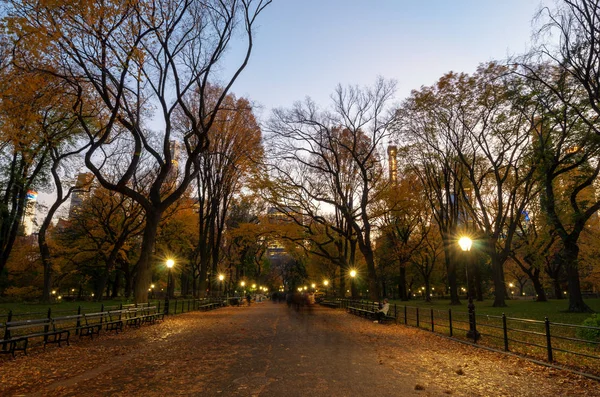 Nueva York Estados Unidos Noviembre 2018 Paisaje Otoñal Central Park — Foto de Stock