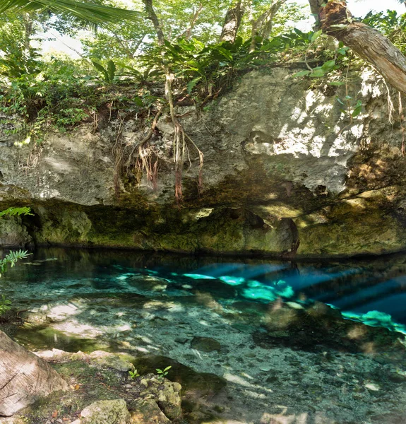 メキシコでグランドのセノーテの風光明媚なビュー — ストック写真