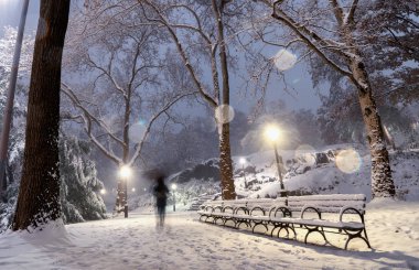 Kış manzarası Central Park, New York City, Amerika Birleşik Devletleri
