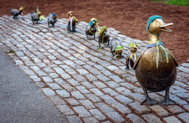 Boston, Ma, Amerika Birleşik Devletleri - 4 Mayıs 2017: Bronz heykel Ducklings Boston kamu bahçe için yol açın